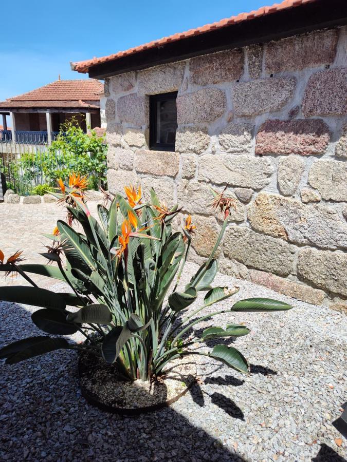 Casas Do Arrabalde Villa Амаранте Екстериор снимка
